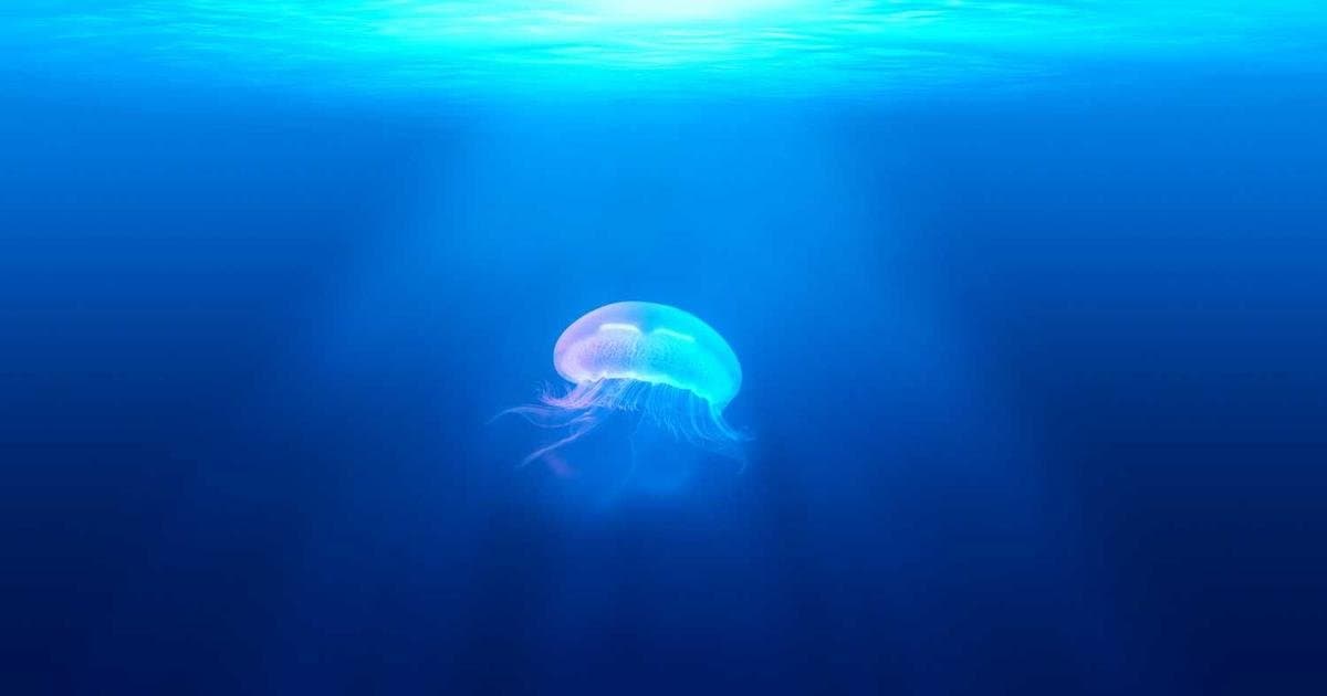 AI其實沒那麼難:用中文就能指揮電腦的時代來了
