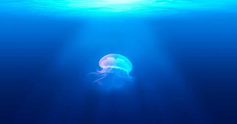 AI其實沒那麼難:用中文就能指揮電腦的時代來了