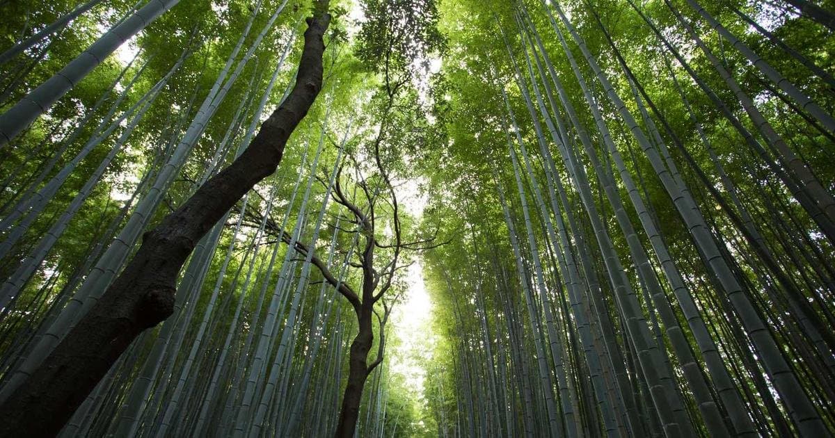【月度實驗】我們讓AI當了30天的專案經理,結果如何?